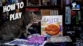 How to Play Calico