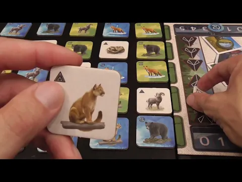 Video Review