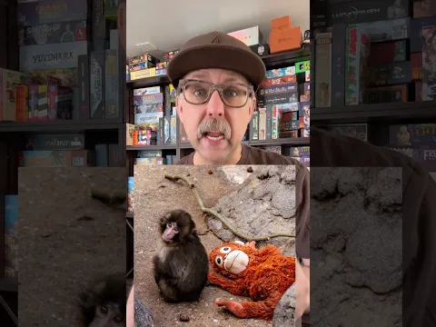 5 Monkey Themed Board Games for Punch! #boardgames #punch #punchmonkey #monkey #familygames