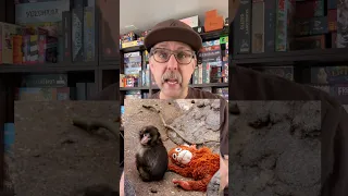 5 Monkey Themed Board Games for Punch! #boardgames #punch #punchmonkey #monkey #familygames