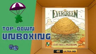 Evergreen: Giant Trees and Mushrooms Expansion Unboxing (4K)