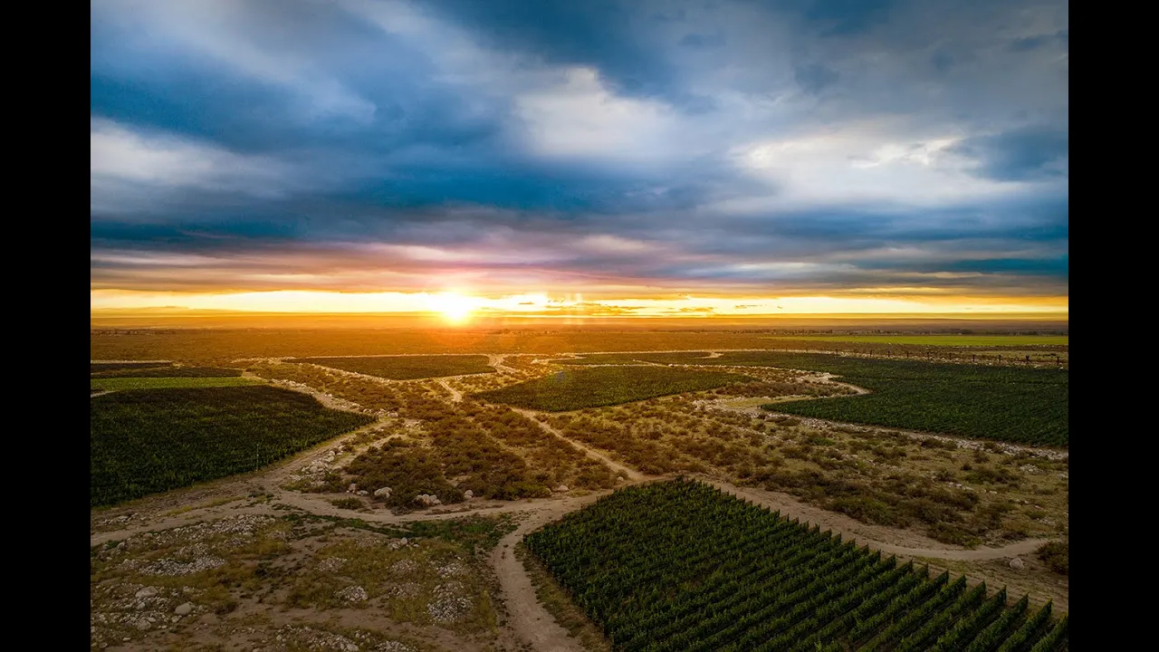 Video de Altos Las Hormigas
