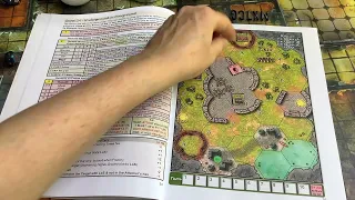 it's a new solitaire fantasy game book