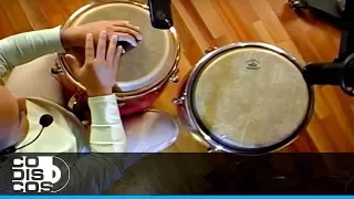 Aprenda Percusión Con Diego Galé (Aprende Conga) Capítulo 1