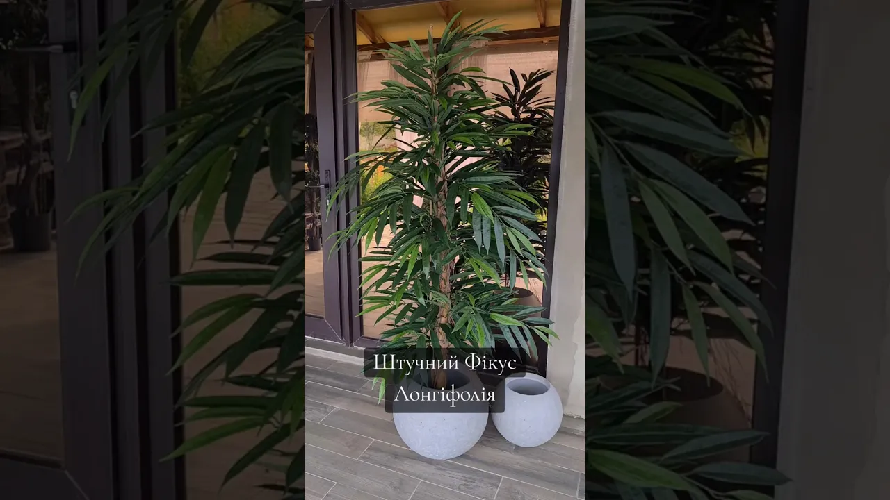 Artificial Plant Longifolia De Luxe Tree H180cm NKoop FW