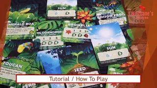 Canopy [Board Game] - Tutorial / How to Play with Examples