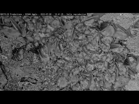 youtube-video-thumbnail