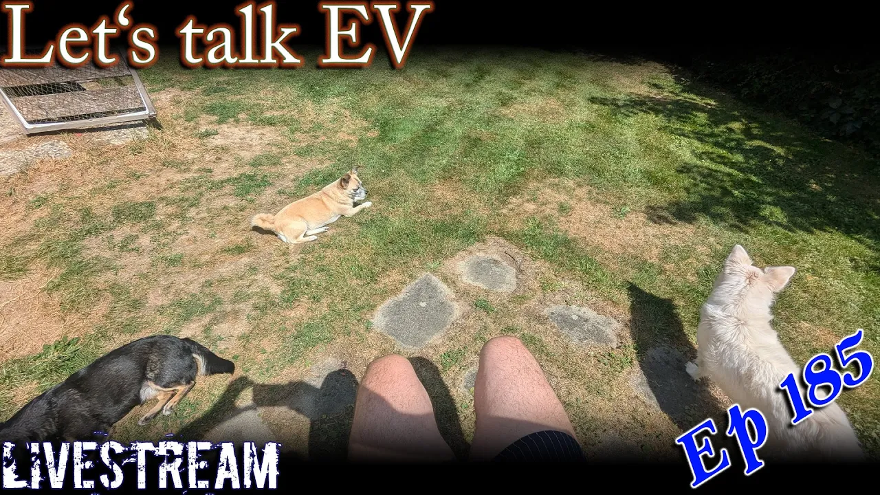 (live) Let's talk EV - I had a holiday week 😍
