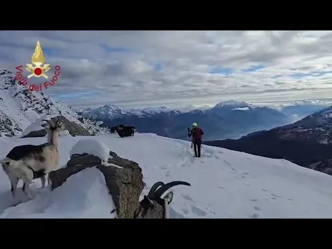 Youtube Preview