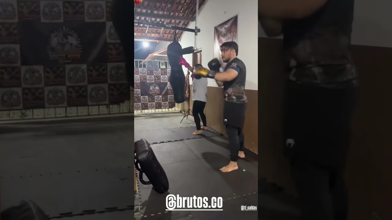 Vídeo de Brutos Comp