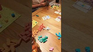 Tiny Towns #boardgames #boardgamelife #小小城鎮