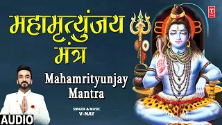 महामृत्युंजय मंत्र Mahamrityunjay Mantra I V-NAY I Mahamrityunjaya Mantra I Shiv Mantra
