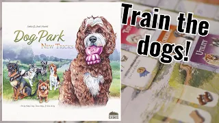 How to play Dog park new tricks