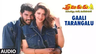 Premikudu - GAALI TARANGALU song | Prabhu Deva | Nagma Telugu Old Songs