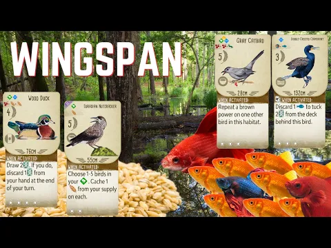 Full Seed Vs Full Fish: Wingspan Board Game