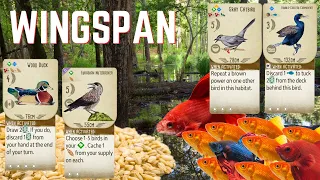 Full Seed Vs Full Fish: Wingspan Board Game