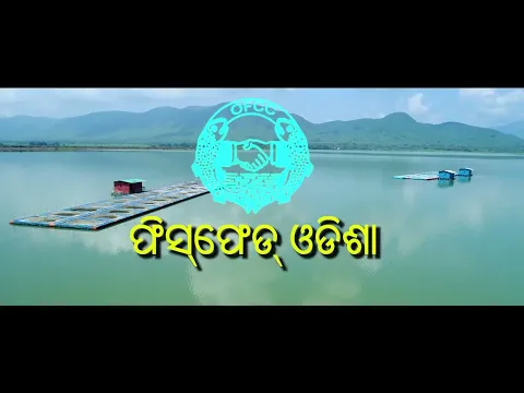 youtube-video-thumbnail