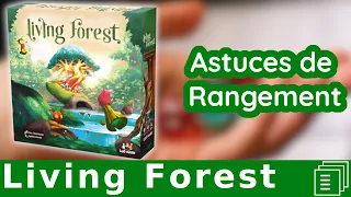 Living Forest : astuces de rangement