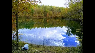 Land For Sale - Pike Co, IN Recreational Property With Cabin Land For Sale - Pike Co, IN Recreational Property With Cabin