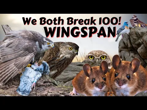 Incredibly Close Game Decided By Predators: Wingspan Board Game Gameplay