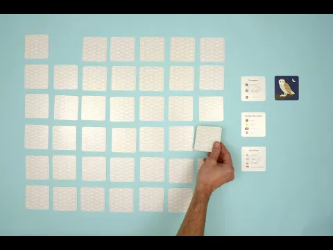 How to play FLY HOME