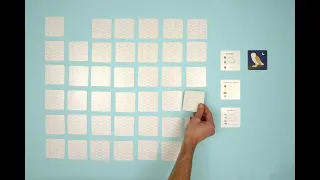 How to play FLY HOME