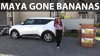 Kia e-Soul van banana box test by Maya