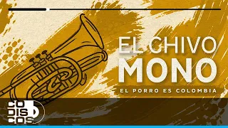 El Chivo Mono, El Porro Es Colombia, Checo Acosta - Audio
