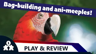 Life of the Amazonia solo play and review (review copy provided)