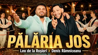 Leo de la Rosiori x Denis Ramniceanu – Pălăria Jos 🎩 | Video