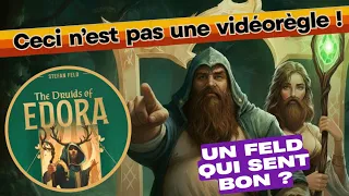 The druids of Edora - Notre avis en 21 minutes !