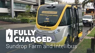 Sundrop Farm - Intellibus | Fully Charged