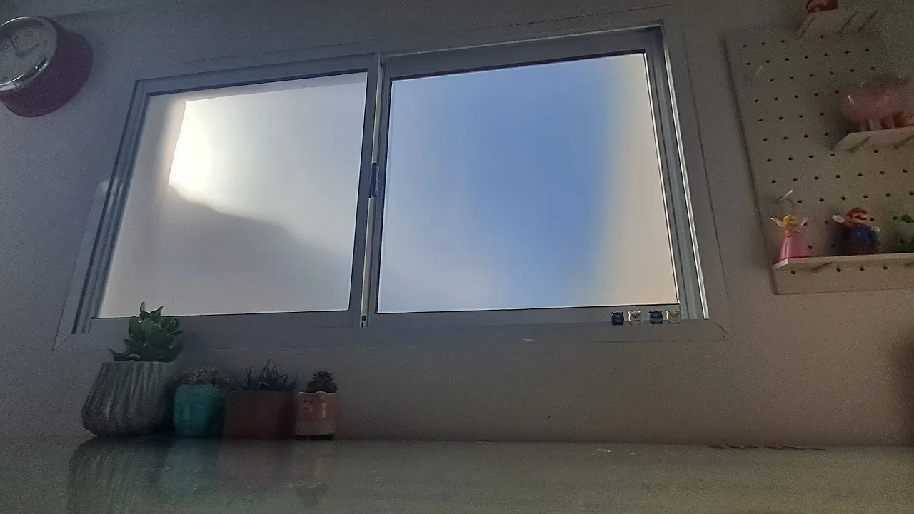 Video de TODO CHANCHO vinilos decorativos