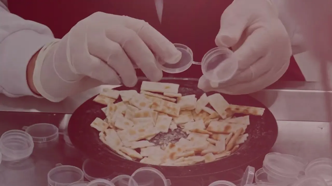 Video de Cálice dos Peregrinos