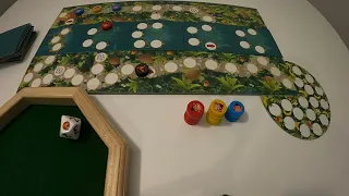 Tropic Race - Rules overview