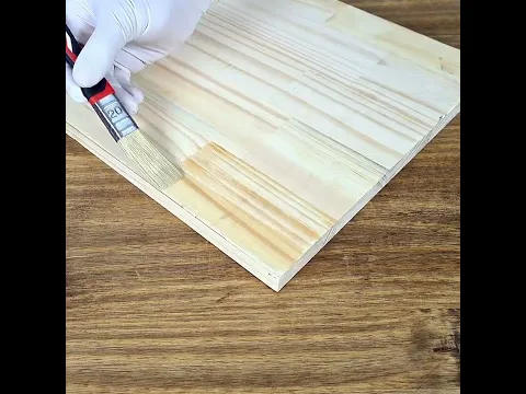 Pincel para Metal Dexter 20mm