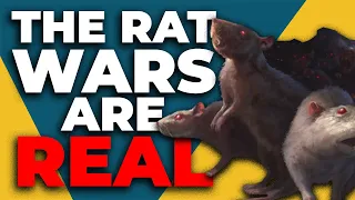 New York City is INFESTED | Rat Wars
