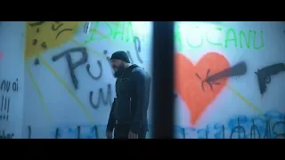 Dani Mocanu - Puiul meu
