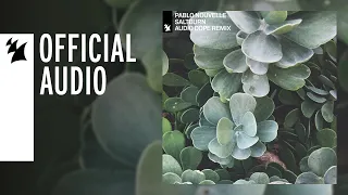 Pablo Nouvelle - Saltburn (Audio Dope Remix)