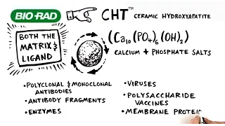 Learn How CHT Media Can Maximize Purity and Recovery in Downstream Processing