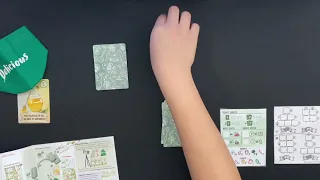 Delicious Board Game Solo Playthrough #1 | Danicha