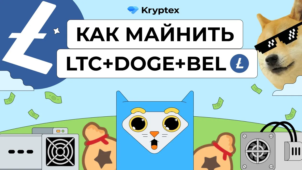 Видеогайды