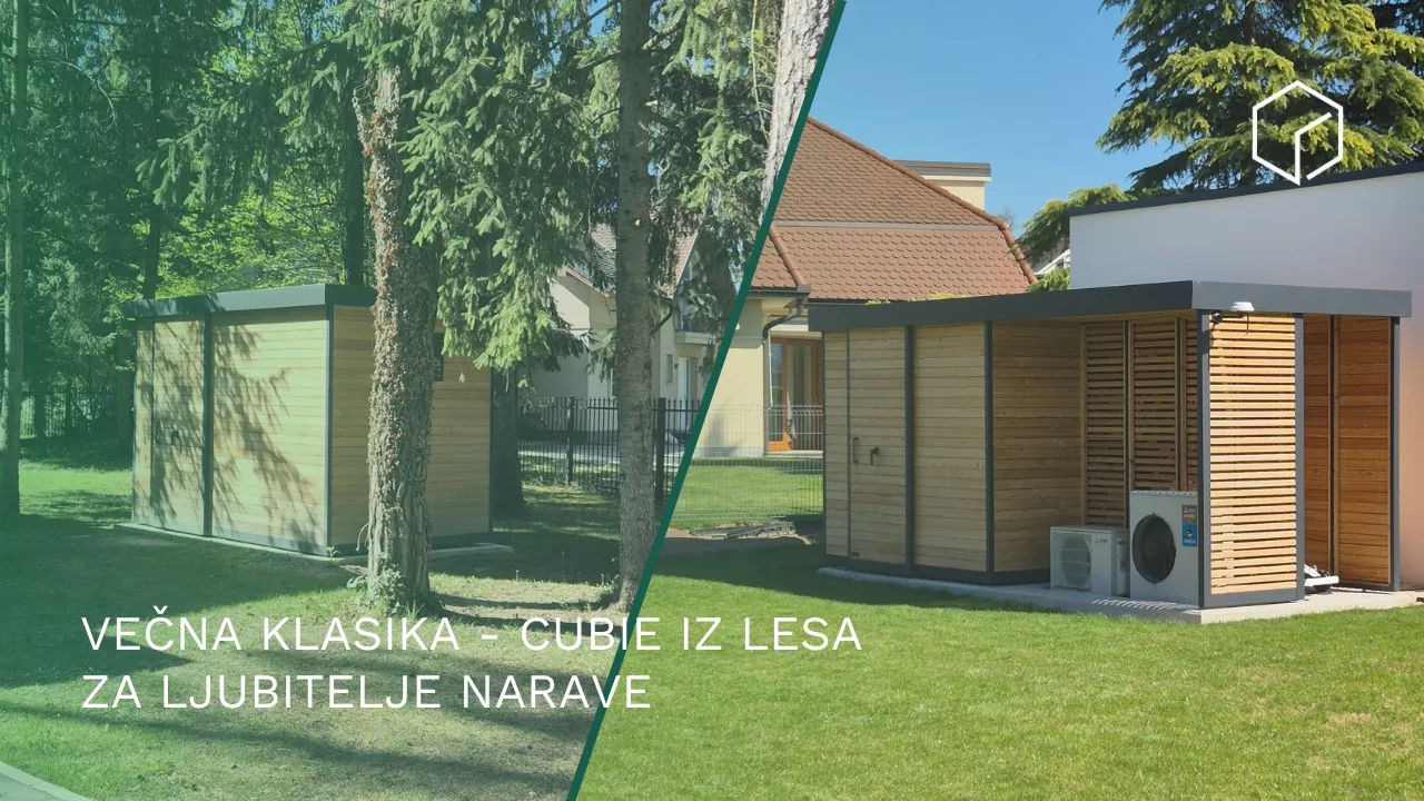 Brez skrbi, sibirski macesen ne potrebuje vzdrževanja