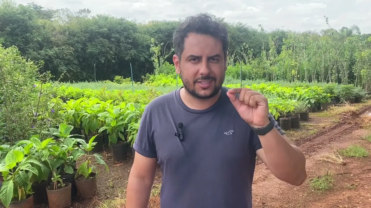 Vídeo de Boni Plantas