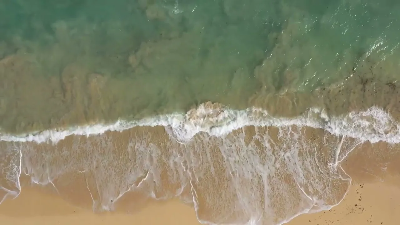 Video de Mar&Cuyá Swimsuit®