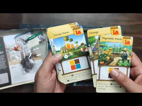 Unboxing Tiny Towns Villagers (English) by Indian Meeple