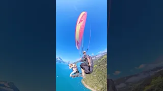 This dog takes adventure to new heights... literally! 🐶 #dogs #paragliding #cute