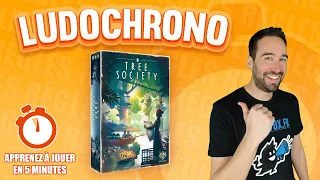 Ludochrono - Tree Society