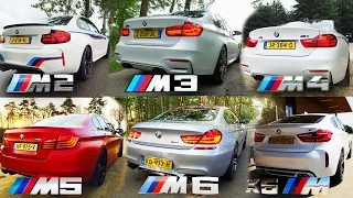BMW M2 vs M3 vs M4 vs M5 vs M6 vs X6 M ACCELERATION & TOP SPEED POV AUTOBAHN