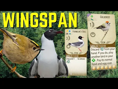 Wingspan Gameplay: Gull Crest Masterclass